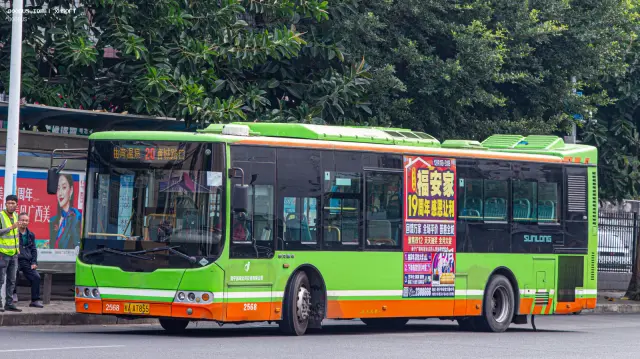 800BUS