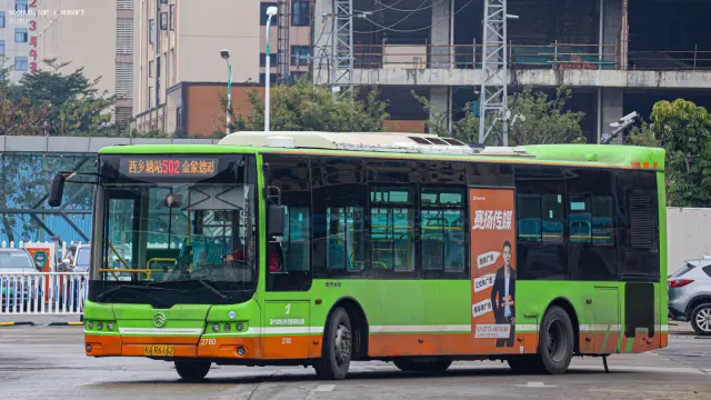 800BUS