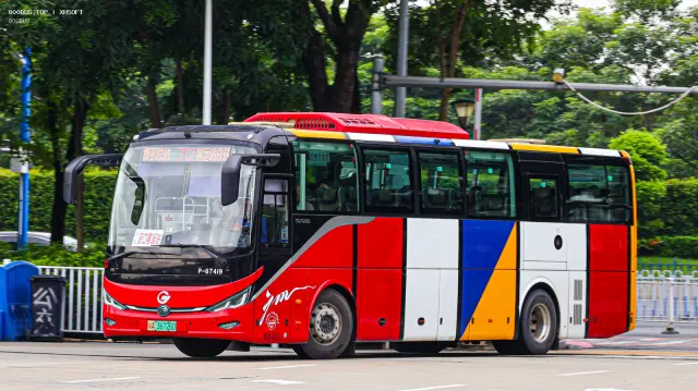 800BUS