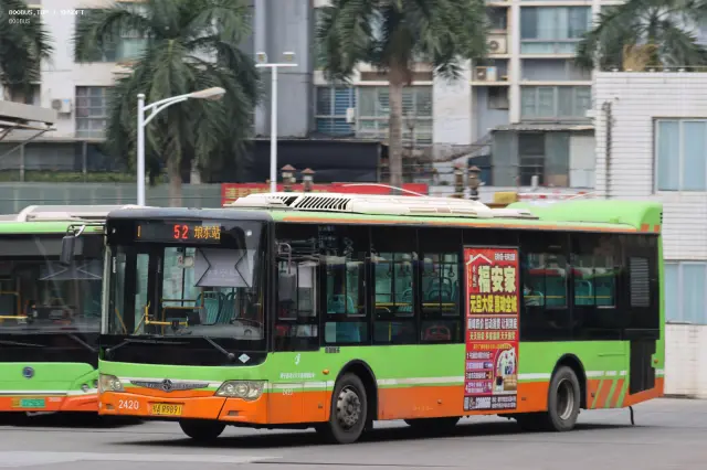 800BUS