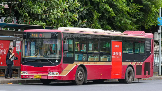 800BUS