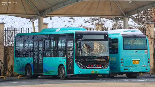 800BUS