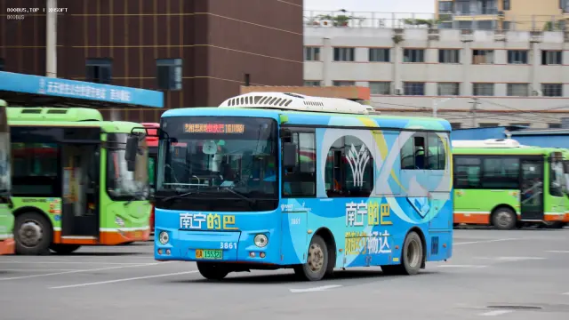 800BUS