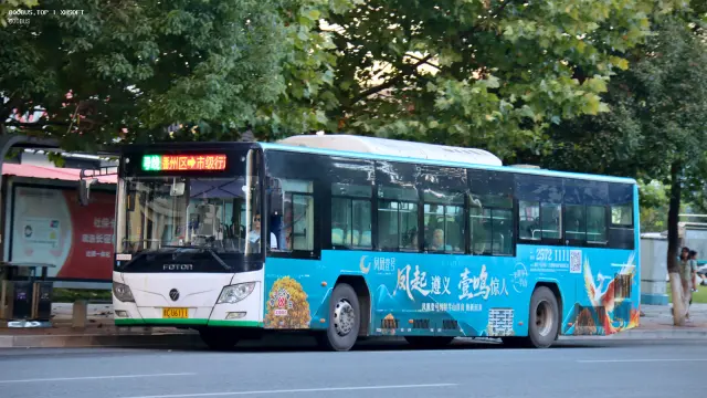 800BUS