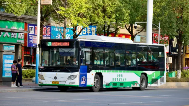 800BUS