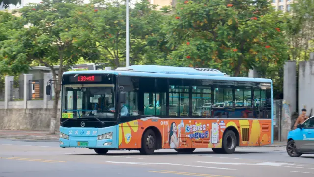 800BUS