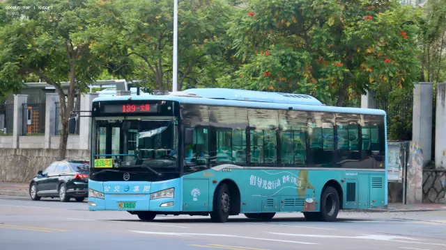 800BUS
