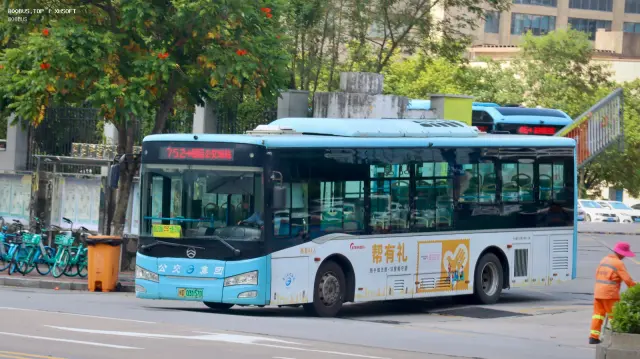 800BUS