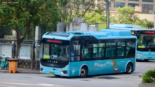 800BUS