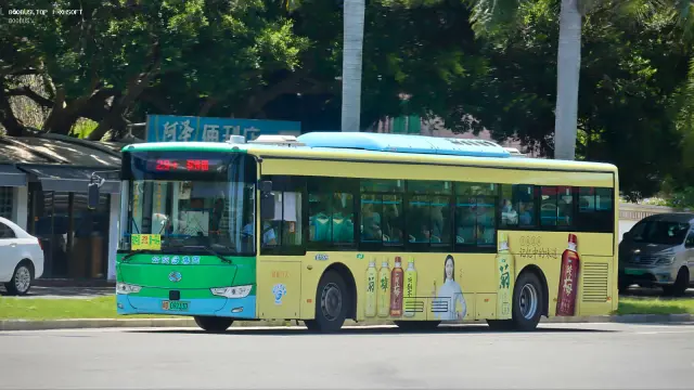 800BUS