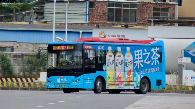 800BUS
