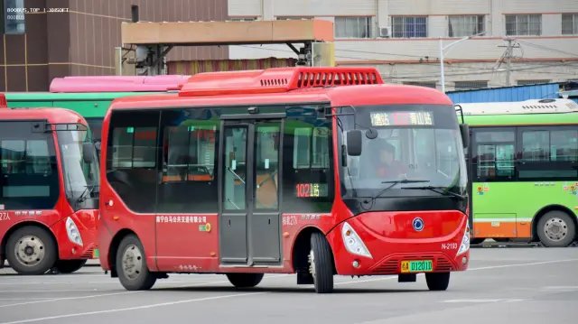 800BUS