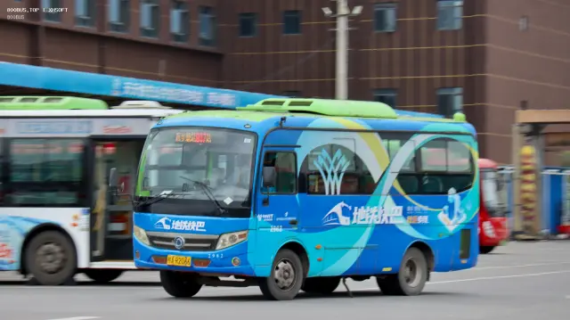 800BUS