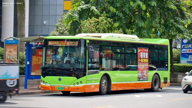 800BUS