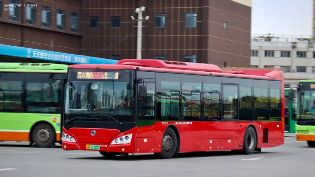 800BUS