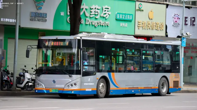 800BUS