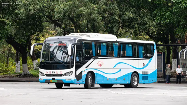 800BUS