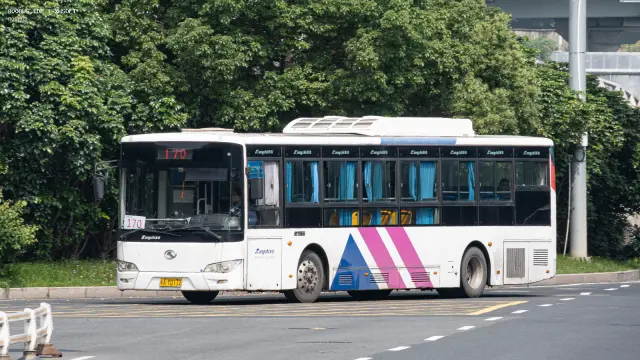800BUS