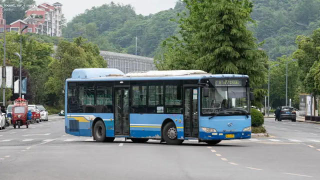800BUS