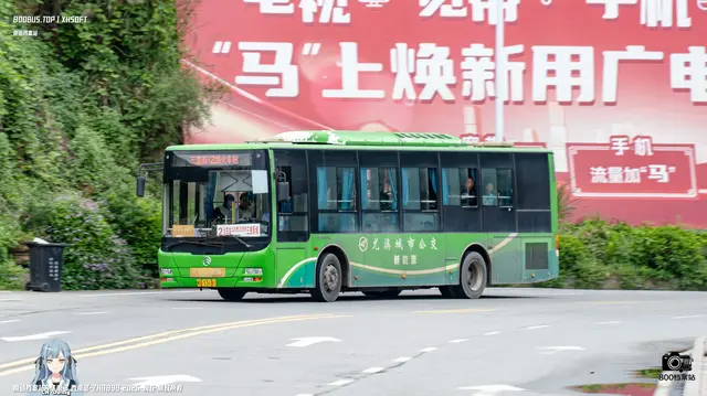 800BUS
