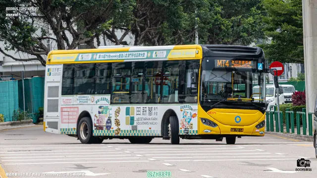 800BUS