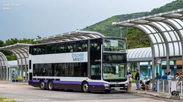 800BUS