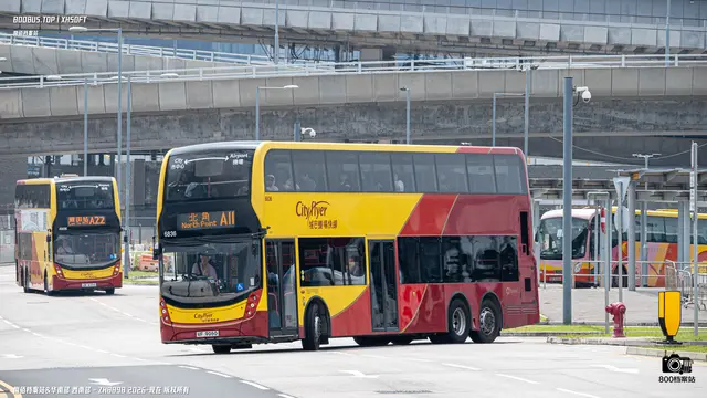 800BUS