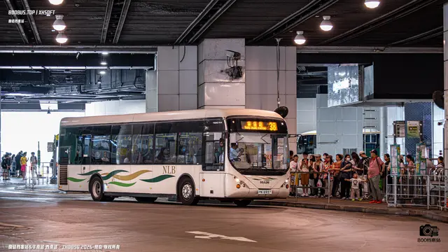 800BUS