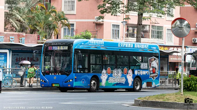800BUS