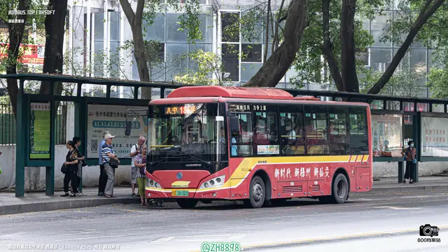 800BUS