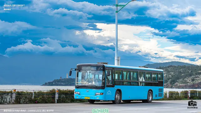 800BUS