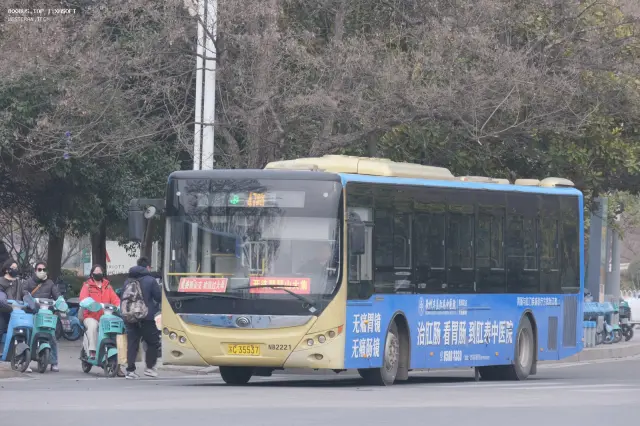 800BUS