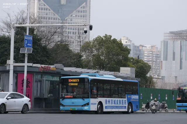 800BUS