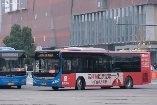 800BUS
