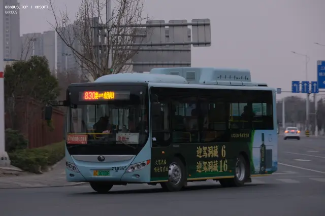 800BUS