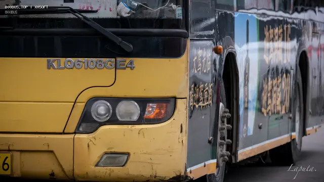 800BUS