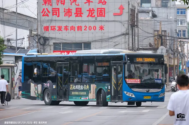 800BUS