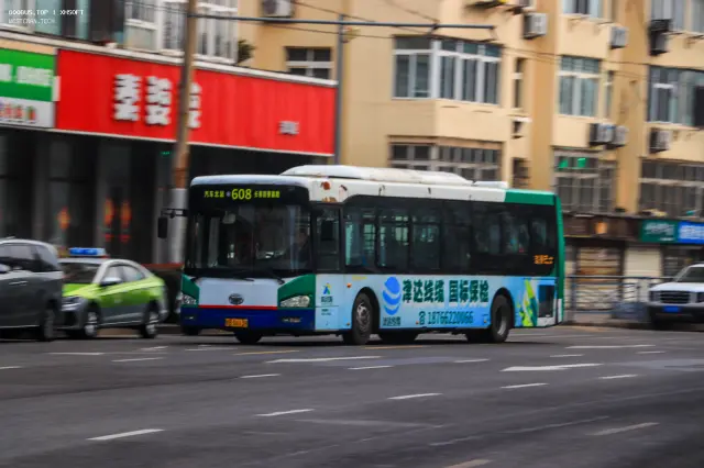 800BUS