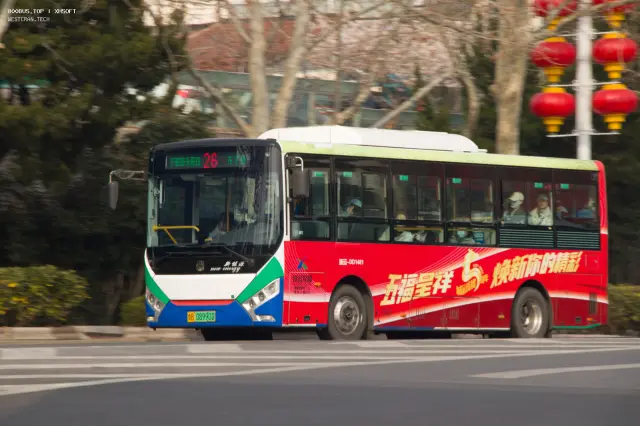 800BUS
