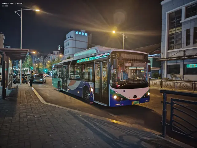 800BUS
