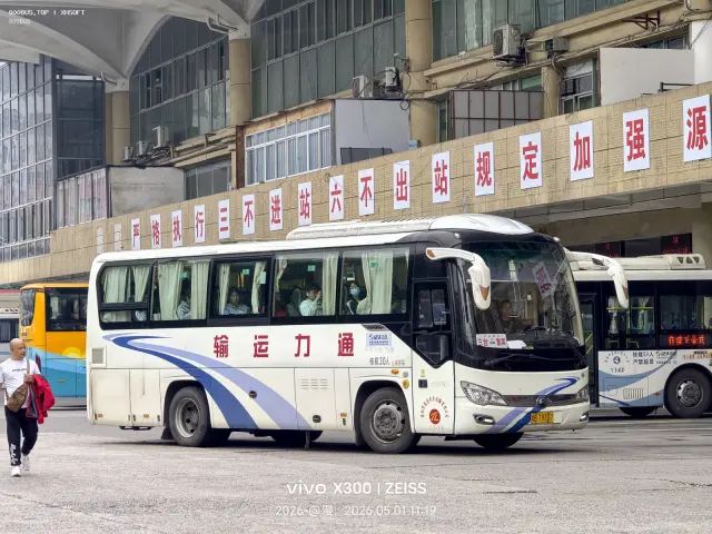 800BUS