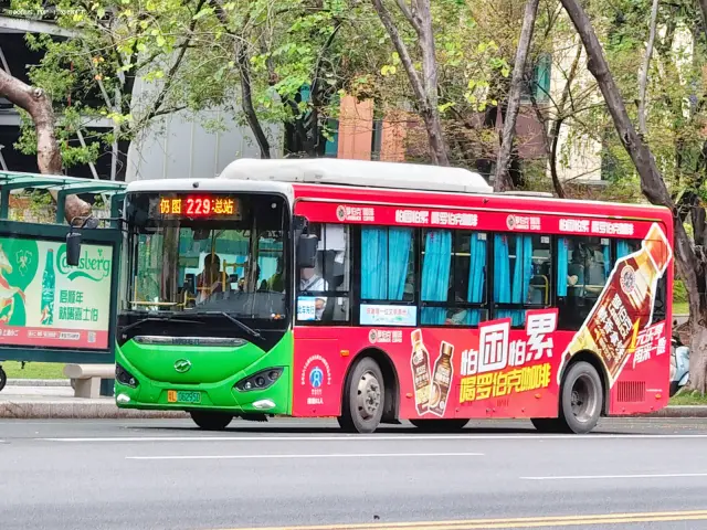 800BUS