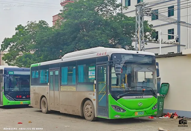 800BUS