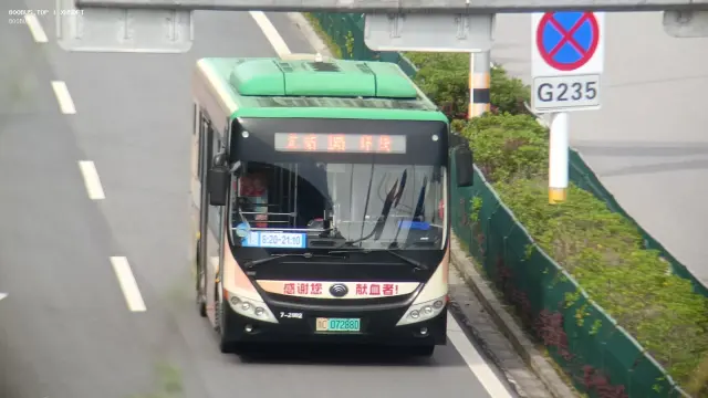 800BUS