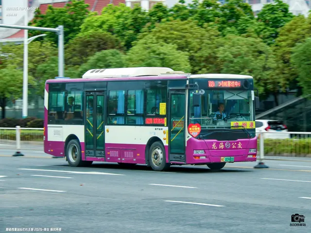 800BUS