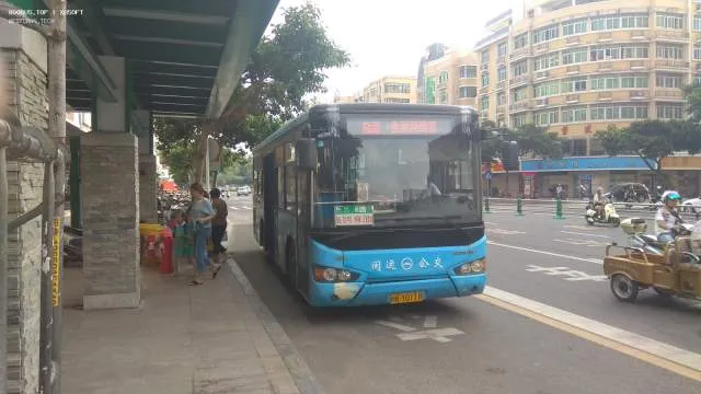 800BUS