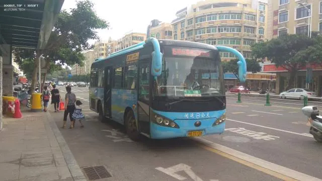 800BUS