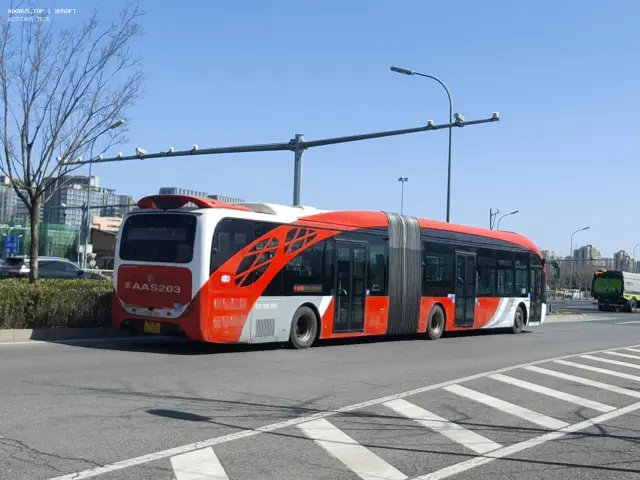 800BUS