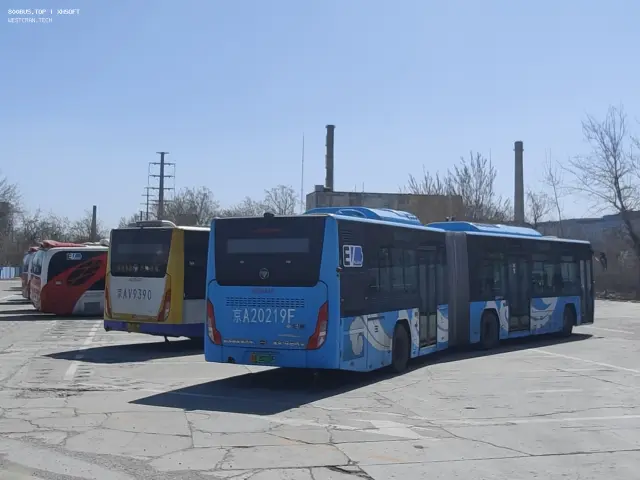 800BUS