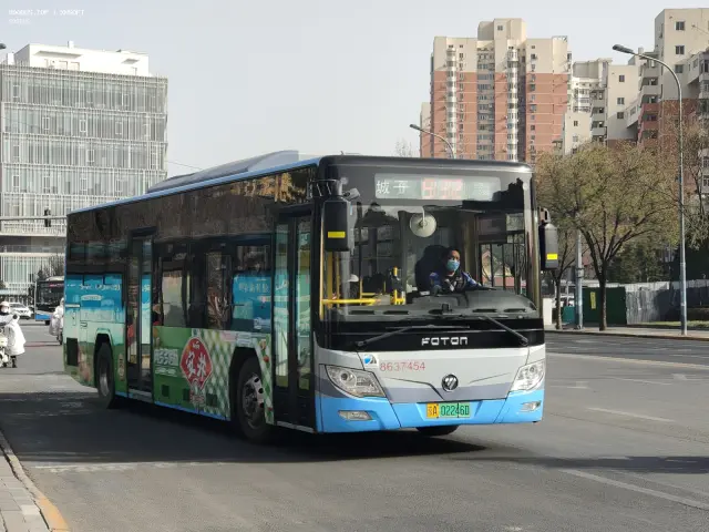 800BUS